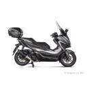 Tłumik AKRAPOVIC ss bk forza 350