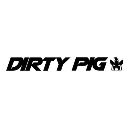 ŁOŻYSKA KOŁA TYLNEGO DIRTY PIG